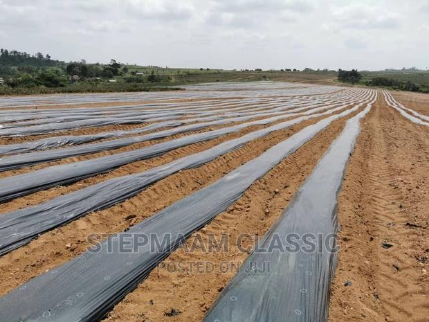 Plastic Mulch · Photo 1