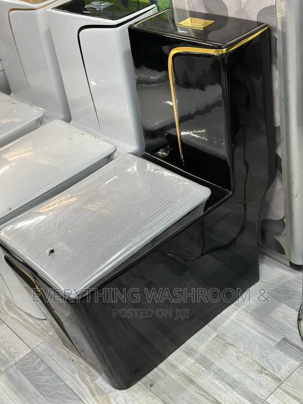 Gold and Black Wc-British Designed Wc-Master Bedroom Wc-WCS · Photo 5