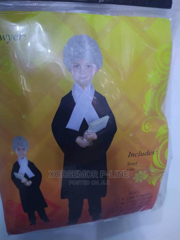 Law Court Lawyer · Photo 2