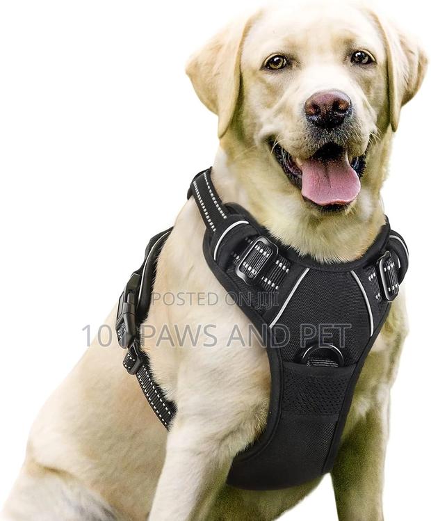 Escape Proof Dog Harness,Walking Hiking Training, L, Blue · Photo 1