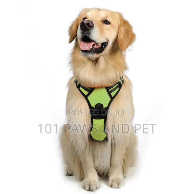 Escape Proof Dog Harness,Walking Hiking Training, L, Blue · Photo 2