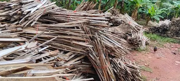 Bamboo Pegs for Plantation · Photo 1