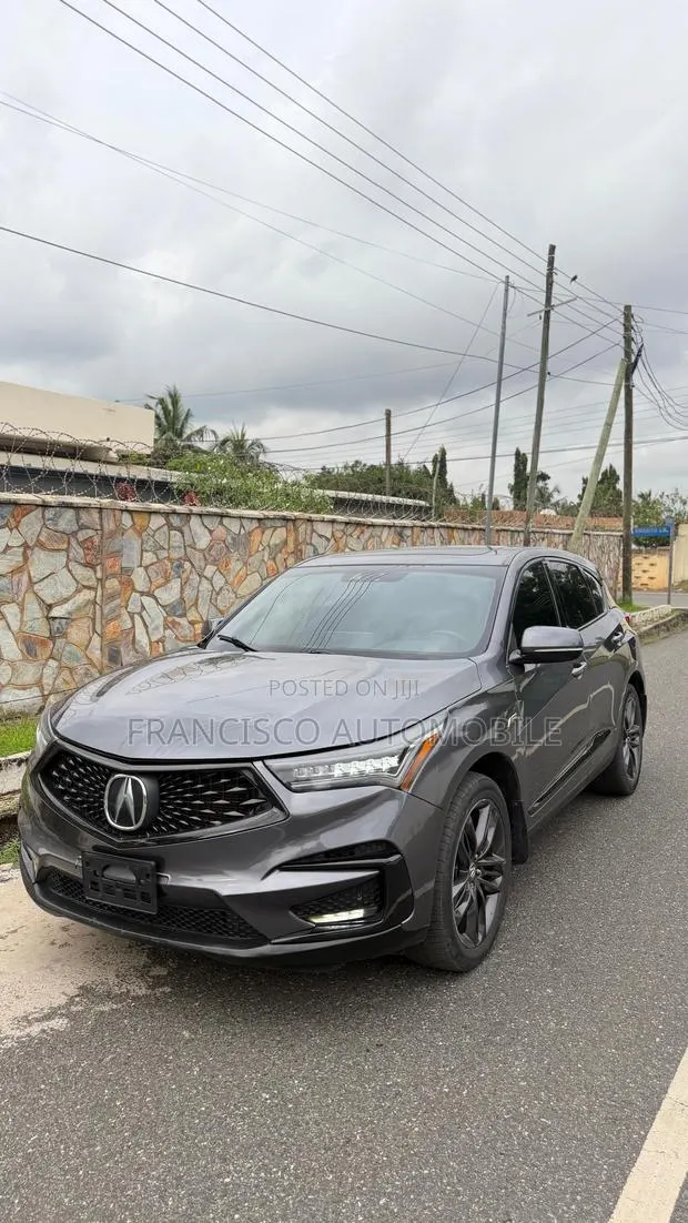 Acura RDX A-Spec Pkg SH-AWD 2020 Gray · Photo 1
