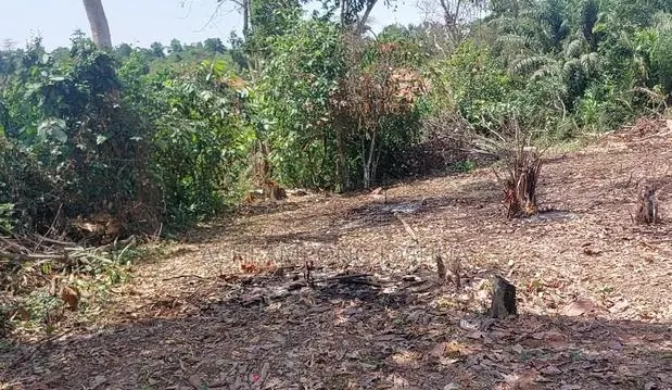 Plot of Land at Beimso No 1 (20mins Drive From Mogpa Ground) . 40000c · Photo 1