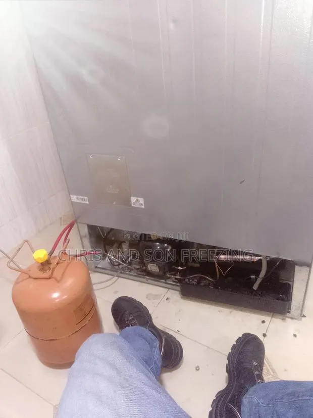 Professional Fridge Repairer