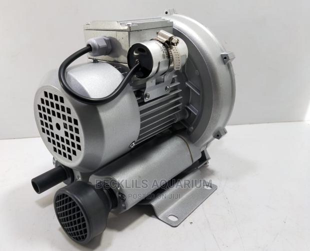 250 Watts Bigger Airpumps Available in Stock · Photo 1
