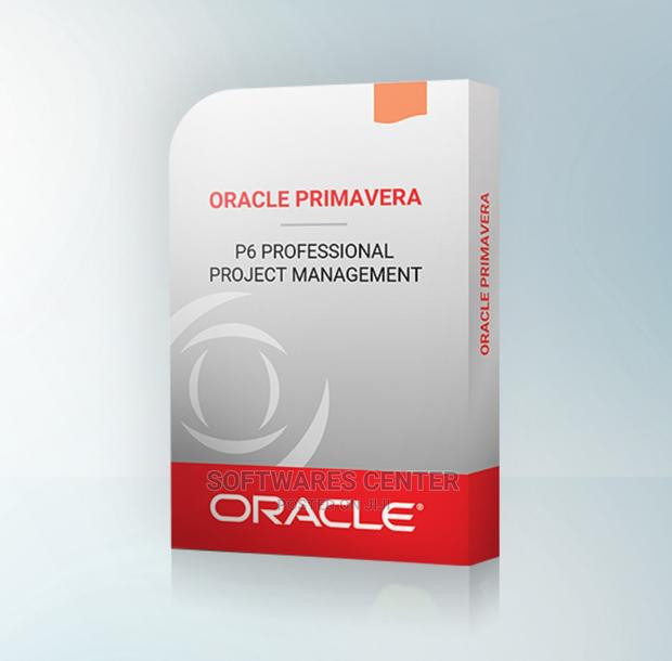 Primavera P6 V22 Project Management · Photo 1