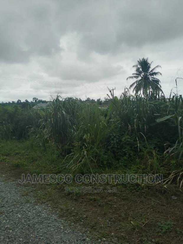 Two Plot of Land for Sale