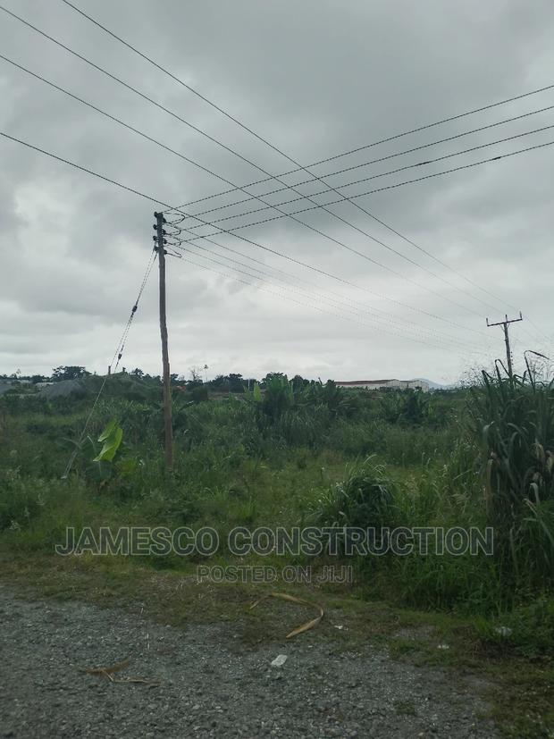 Two Plot of Land for Sale · Photo 2