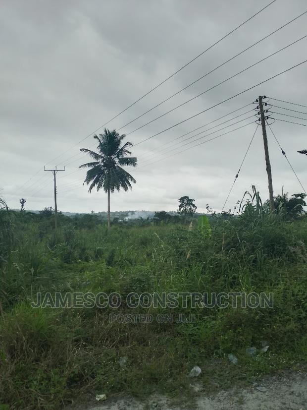 Two Plot of Land for Sale · Photo 3