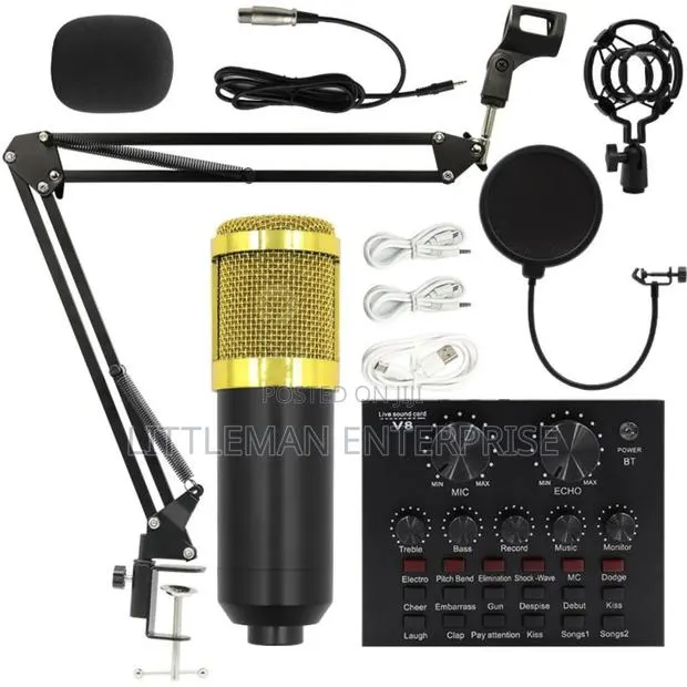 Sound Card With Microphone Bm800 V8 · Photo 1