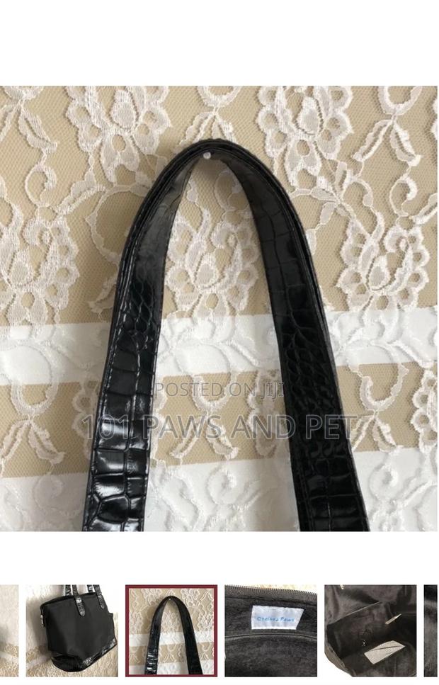 Pet Handbag for Ladies · Photo 6