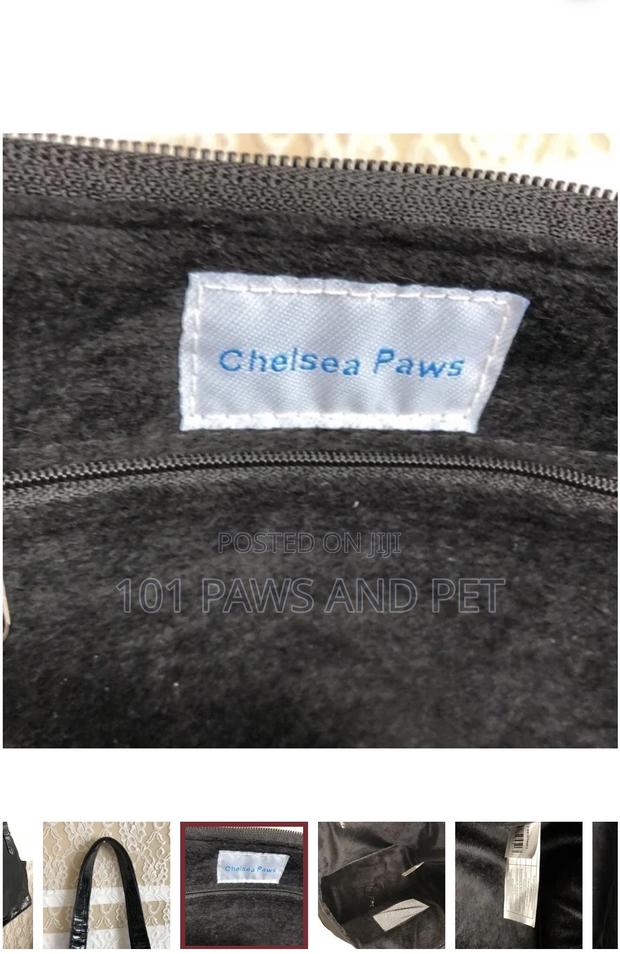 Pet Handbag for Ladies · Photo 7