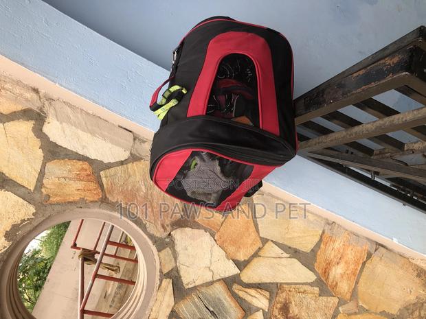 Pet Carrier Available · Photo 2