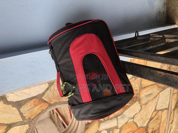 Pet Carrier Available · Photo 3