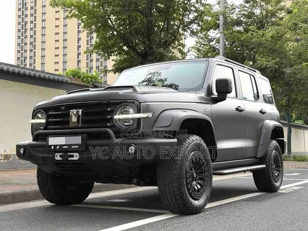 Tank 300 2024 Black · Photo 1
