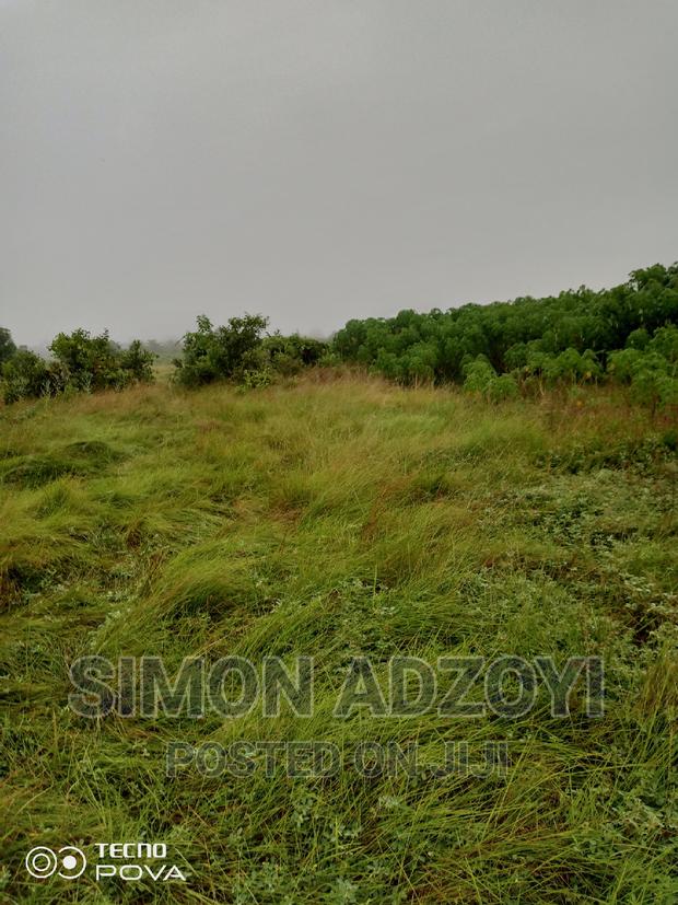 5000 Acres of Farm Land · Photo 2