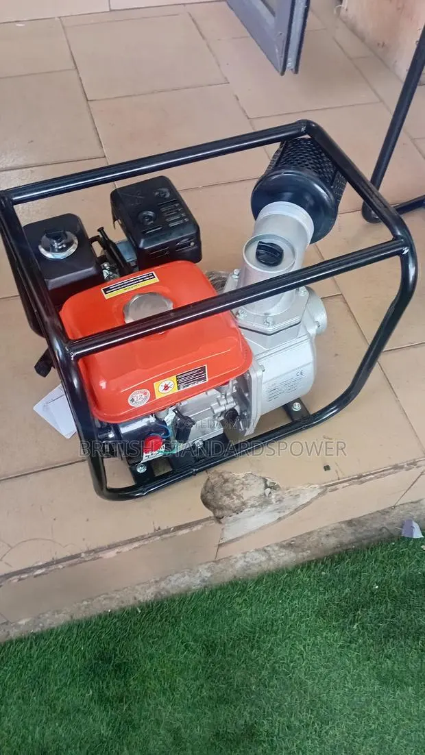 6.5hp Maximum Output Guaranteed Water Pump Leo Compact at Water Pump · Photo 1