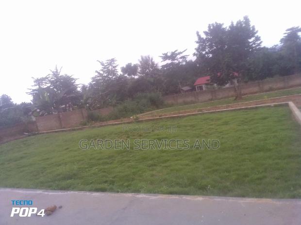 Call for Your Garden and Landscaping Project · Photo 7