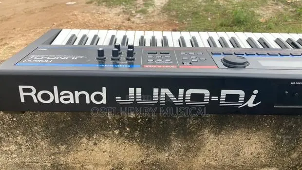 Roland Juno Di · Photo 1