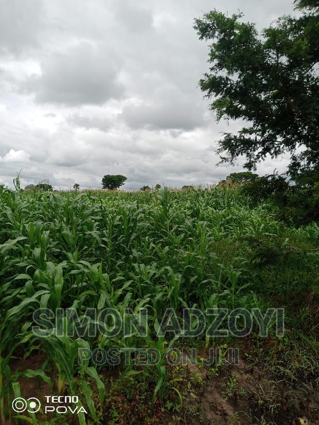 Farm Land for Sale or Login Lease · Photo 1