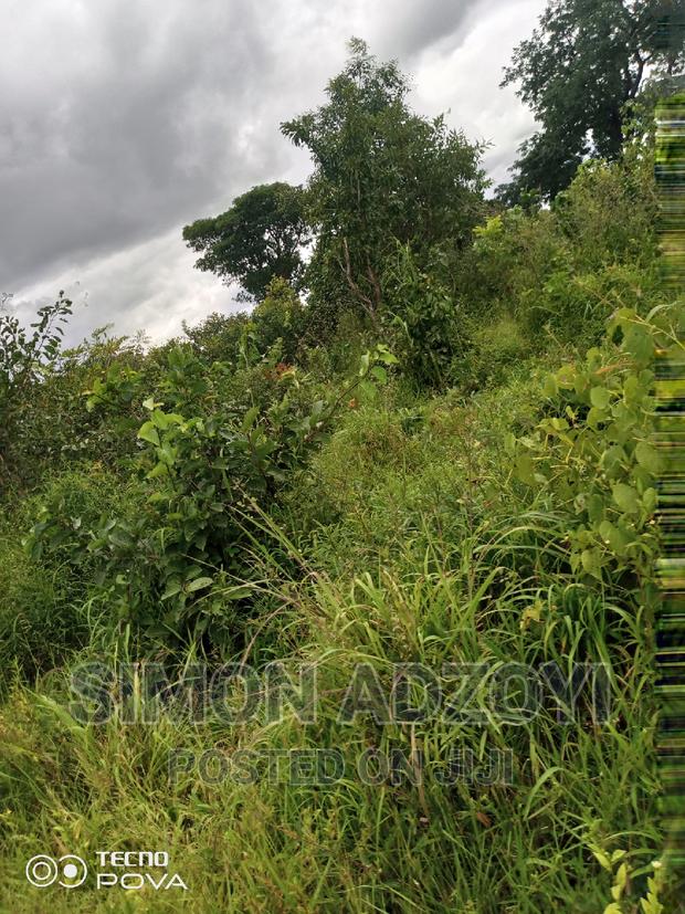 Farm Land for Sale or Login Lease · Photo 3