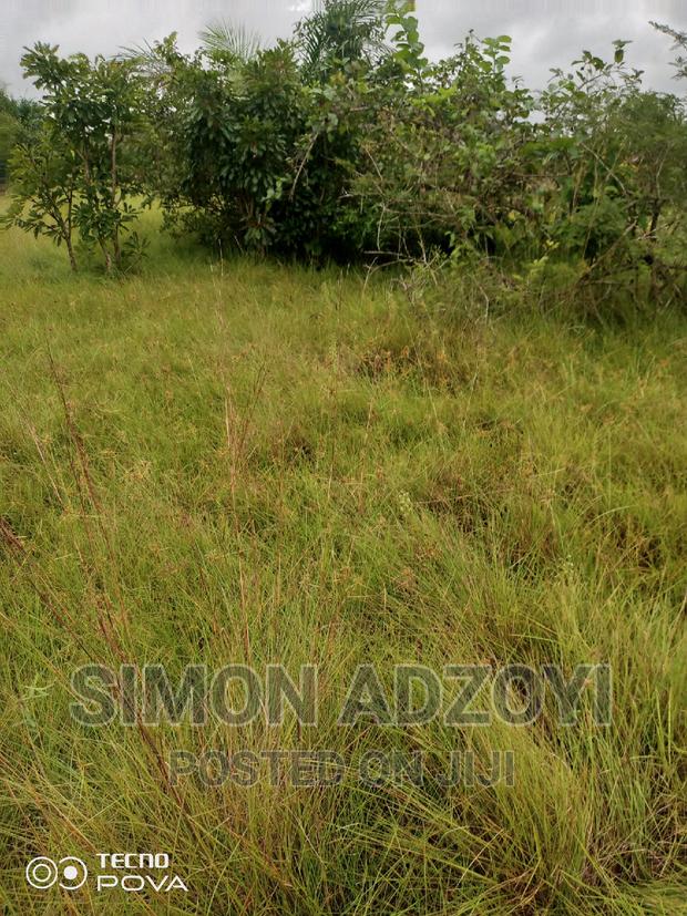 Farm Land for Sale or Login Lease · Photo 4