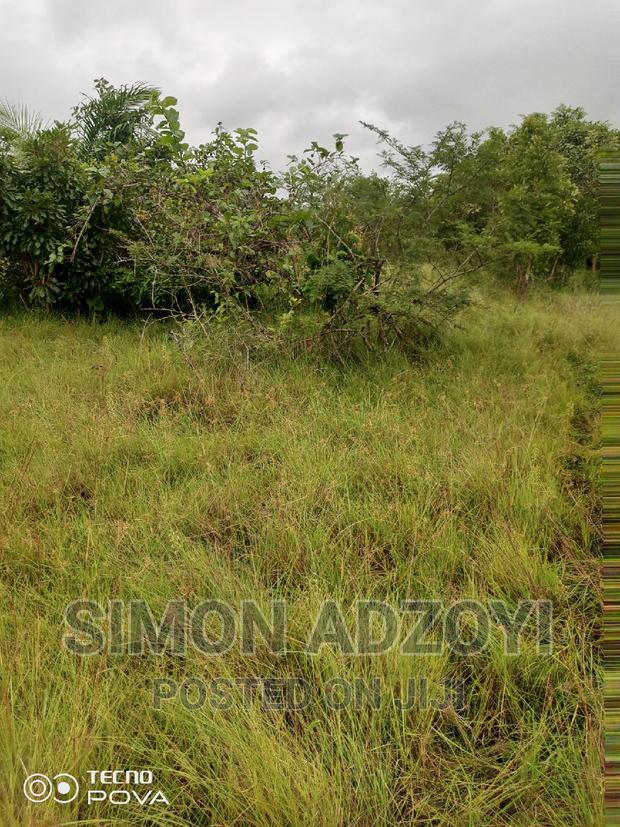 Farm Land for Sale or Login Lease · Photo 5