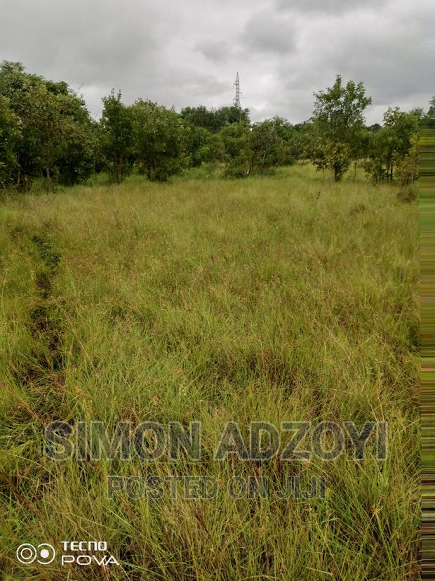 Farm Land for Sale or Login Lease · Photo 6