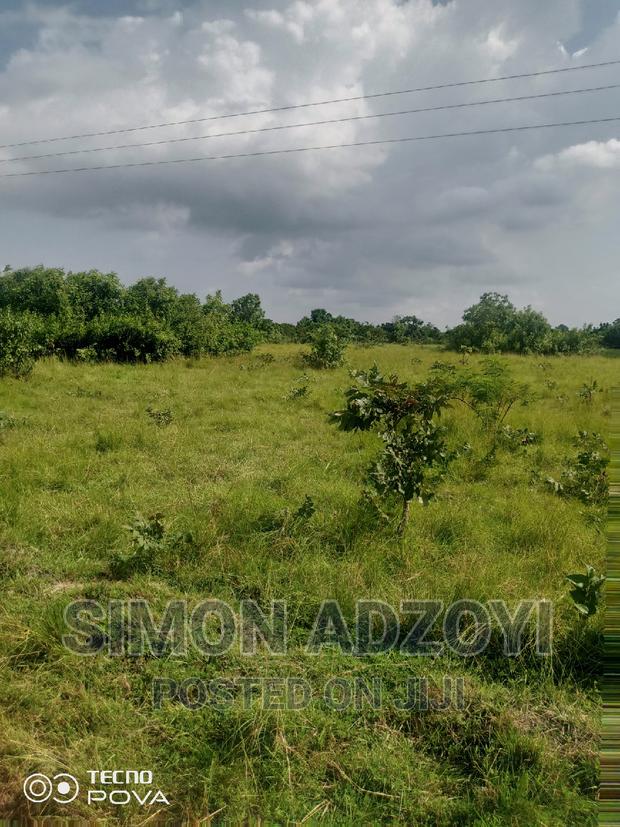 FARM Land For Sale · Photo 2