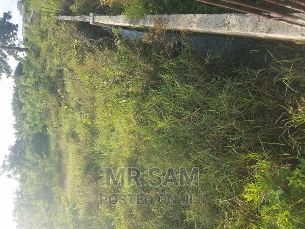 1plot of Land for Sale Winneba Road · Photo 5