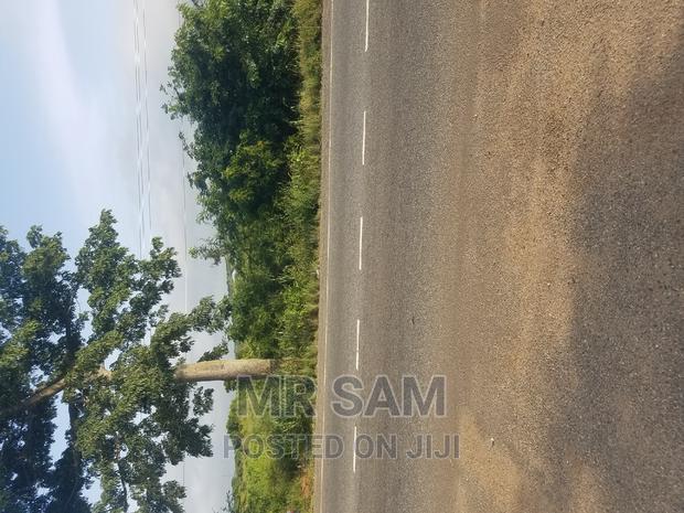 1plot of Land for Sale Winneba Road · Photo 8