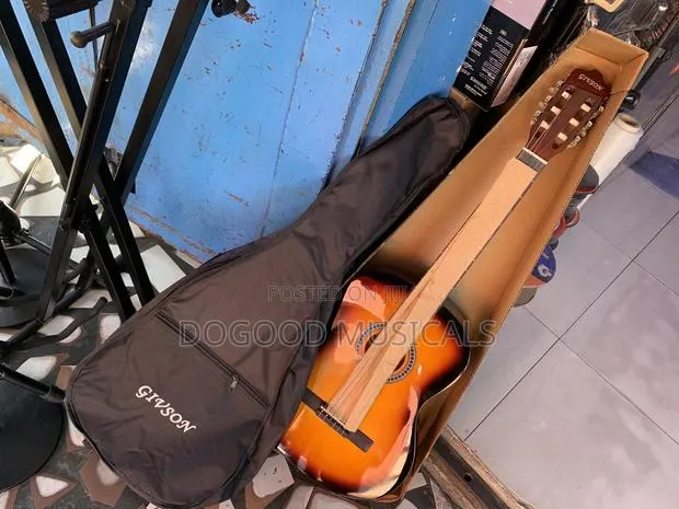 Givson Acoustic Guitar With Bag · Photo 1