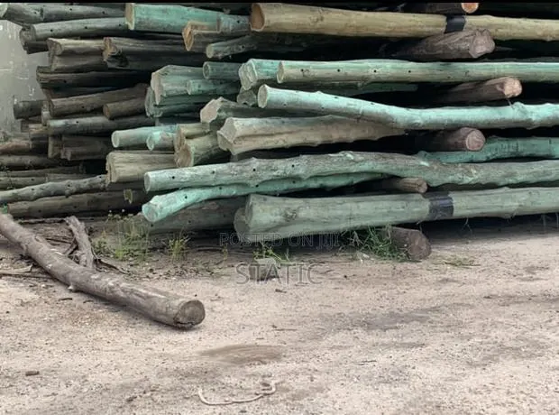 Standard Electricity and Network Service Poles Forsale · Photo 1