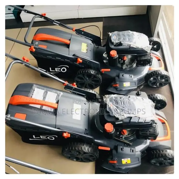 (Np150) Leo 4hp Lm46-2l · Photo 1