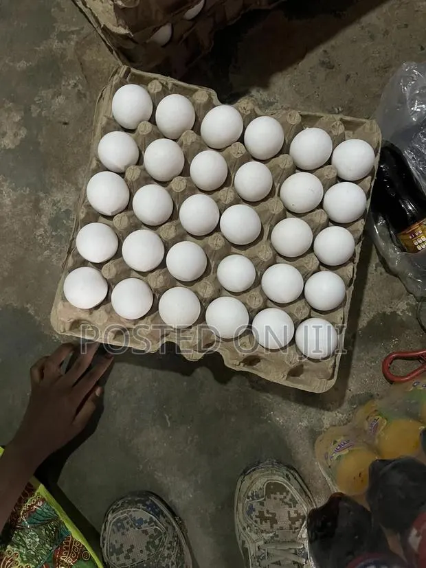 Fresh Organic Egg · Photo 1