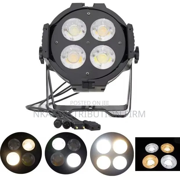 Cob Light Warm or Plain White · Photo 1