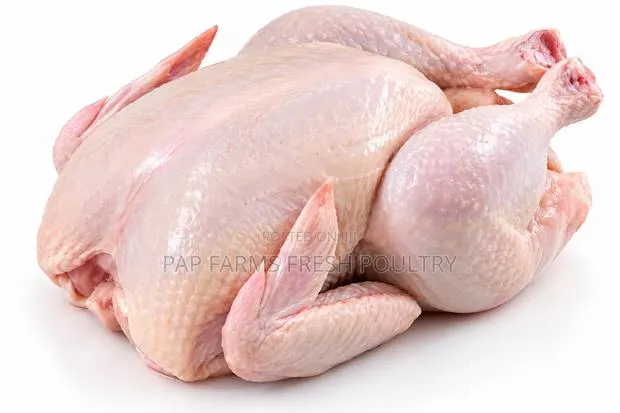 Freshly Processed Chicken Whole Chicken · Photo 1