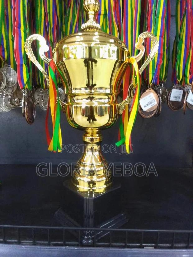 Nice Trophies for Sale