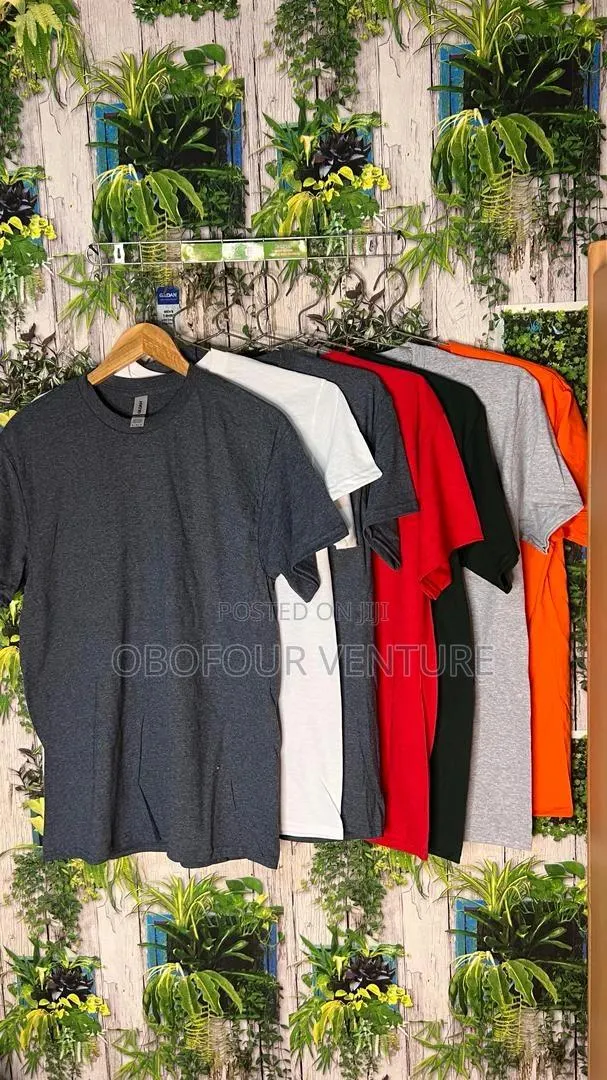 Unisex Plain T-Shirts From USA · Photo 1