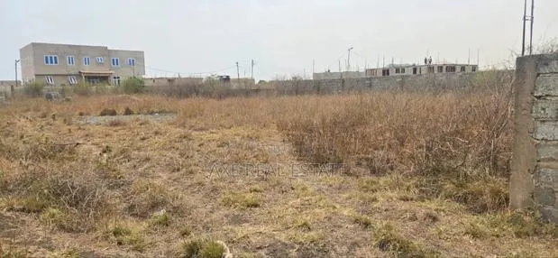 Demarcated Neat Plots - Prampram Beach Road · Photo 1