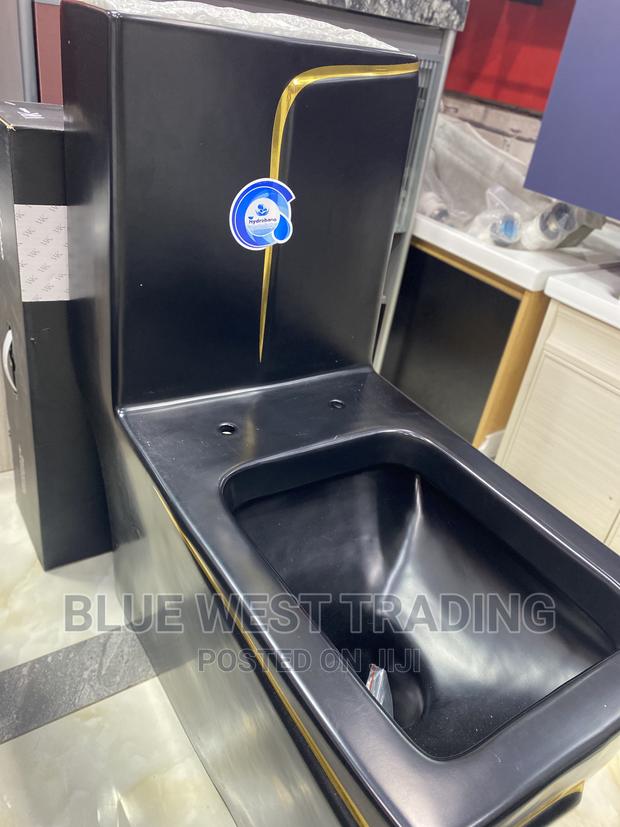 Executive Black and Gold Water Closet - Black Water Closet · Photo 4