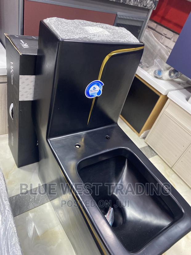 Executive Black and Gold Water Closet - Black Water Closet · Photo 6