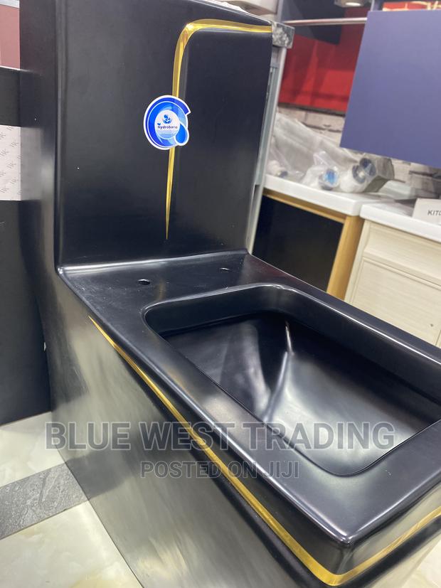 Executive Black and Gold Water Closet - Black Water Closet · Photo 5