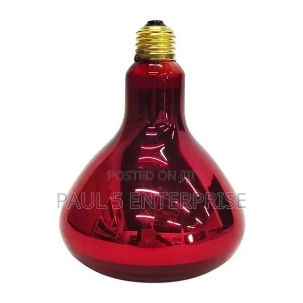 Heater Shade Lamp for New Born Piglet and Poultry Farmers · Photo 3