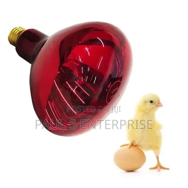 Heater Shade Lamp for New Born Piglet and Poultry Farmers · Photo 6