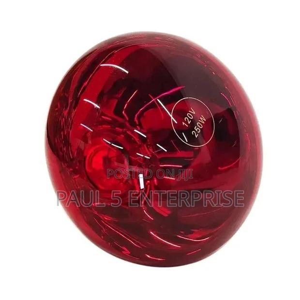 Heater Shade Lamp for New Born Piglet and Poultry Farmers · Photo 4