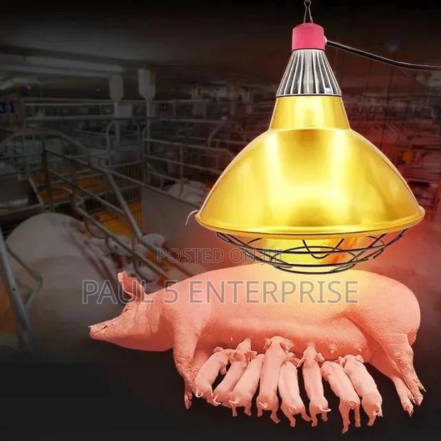 Heater Shade Lamp for New Born Piglet and Poultry Farmers · Photo 1