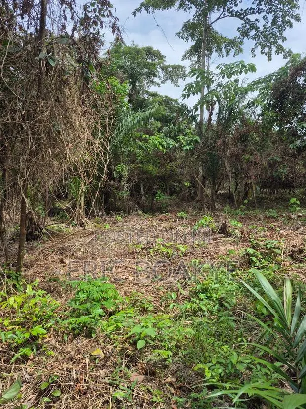 Lands for Farming, Small Scale Mining at Ahafo, Ashanti and Eastern · Photo 1