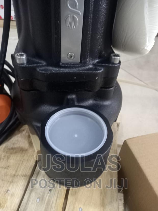 Pedrollo 2hp Sewage Pump · Photo 1